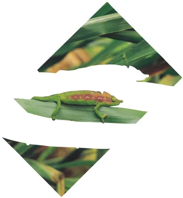 --