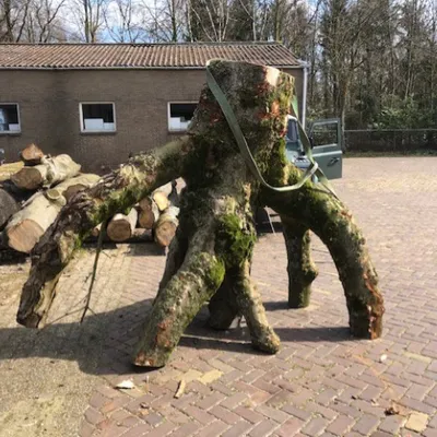 Werken met Paradehout (6 tot 16 jaar)