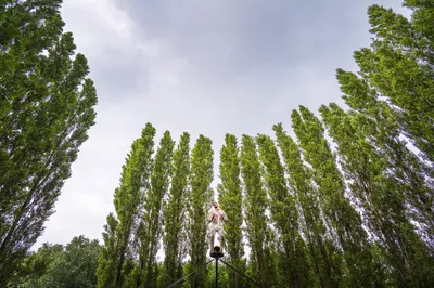 --