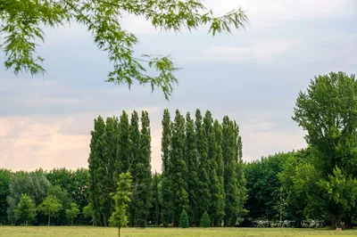 Z.O.T. Een uitkijkpunt zonder ouderlijk toezicht (4+)