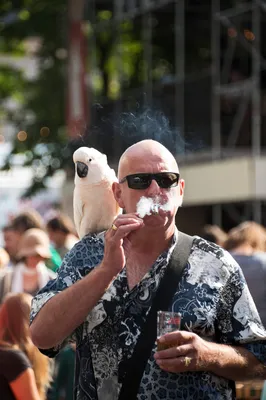 BLVRD plein(c)KarinJonkers
