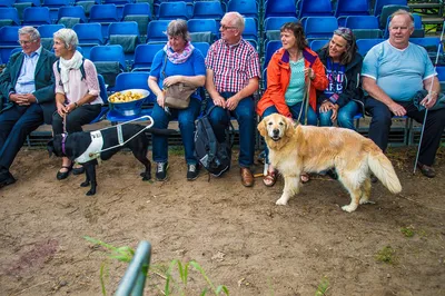 Orka visueel gehandicapteÂ©JeanPhilipse-